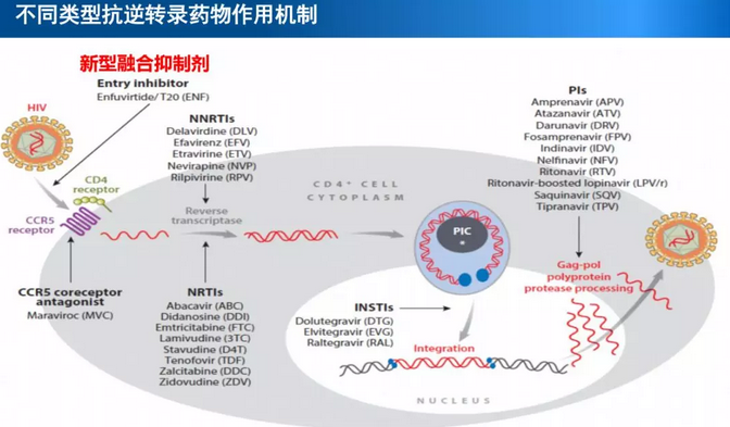 不同类型抗逆转录药物作用机制