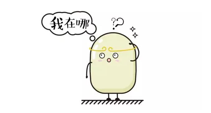 研究过程