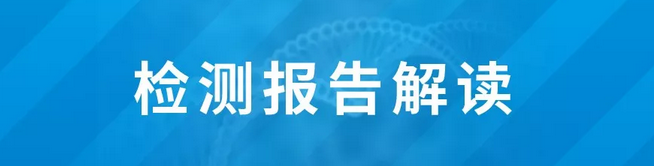 检测报告解读
