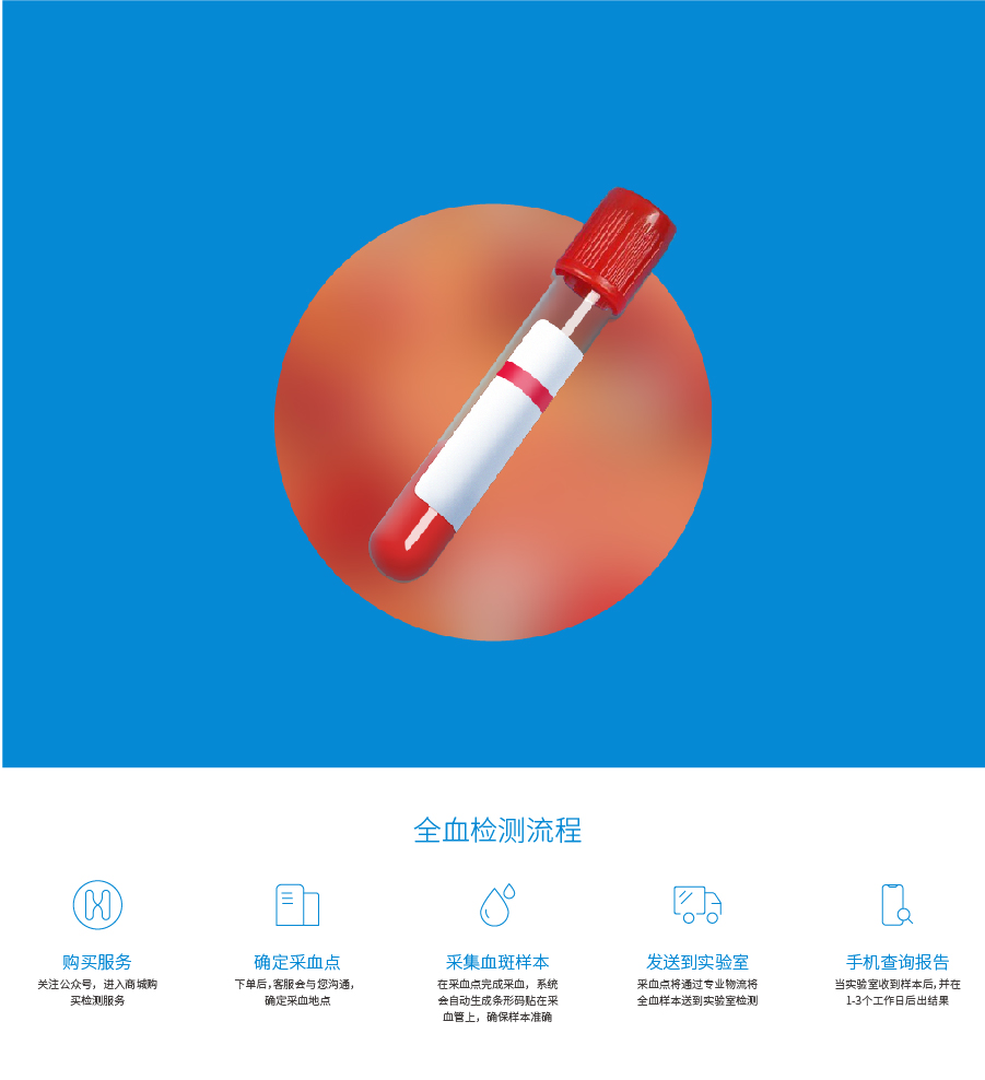全血检测流程