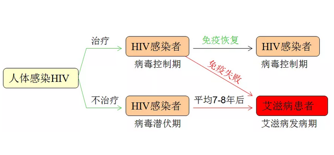 人体感染HIV示例表