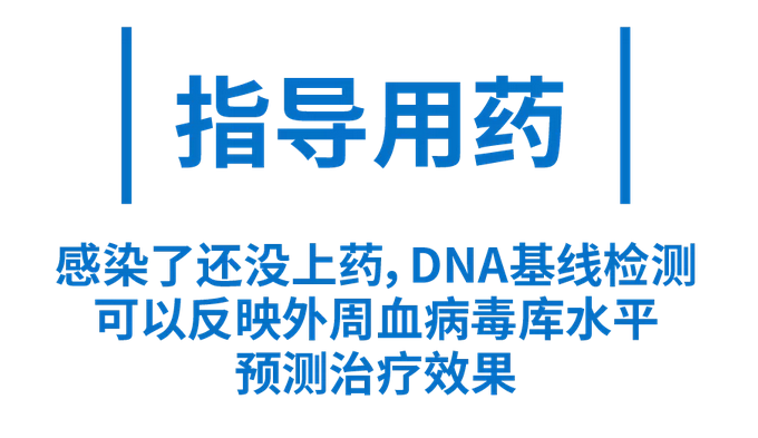 指导用药