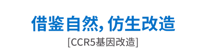 借鉴自然 仿生改造