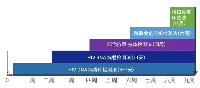 HIV DNA、HIV RNA、抗原、抗体等感染证据的时间
