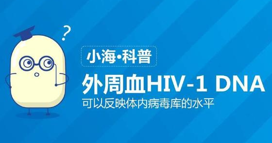 外周血HIV-1 DNA可以反映体内病毒库的水平