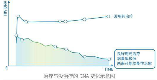 治疗与没治疗的DNA变化示意图