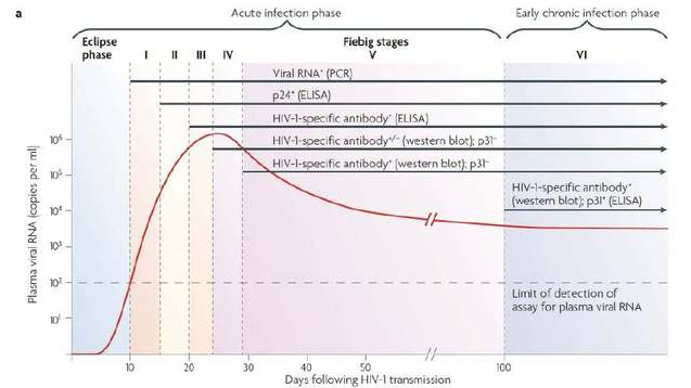 从HIV感染人体，到血液中可以查到HIV RNA 、HIV DNA、抗原、抗体等感染证据的时间是不同的