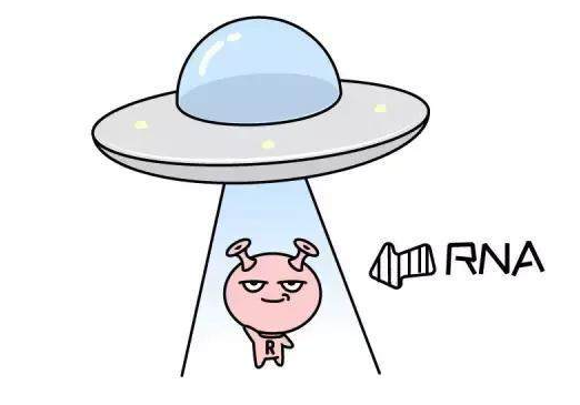 RNA