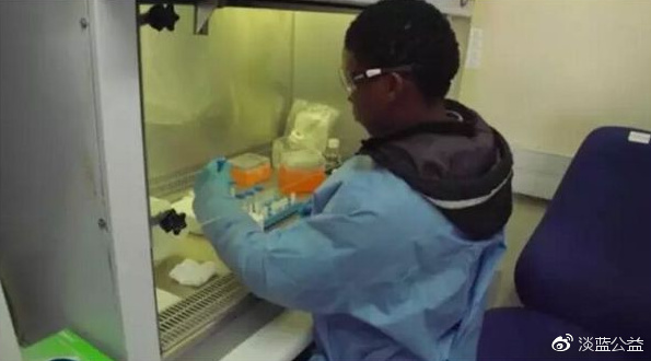 血液中的病毒含量采用标准检测已经检测不到