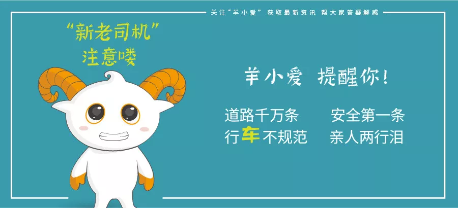 羊小爱
