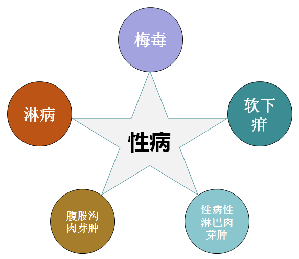 梅毒、淋病、软下疳、性病性淋巴肉芽肿和腹股沟肉芽肿