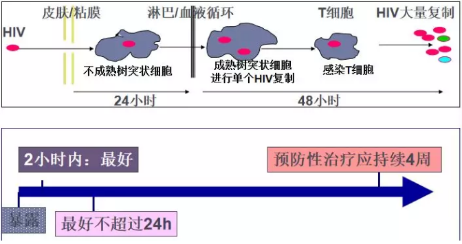 什么时候开始暴露后预防（PEP）