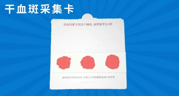 专用的干血斑采集卡