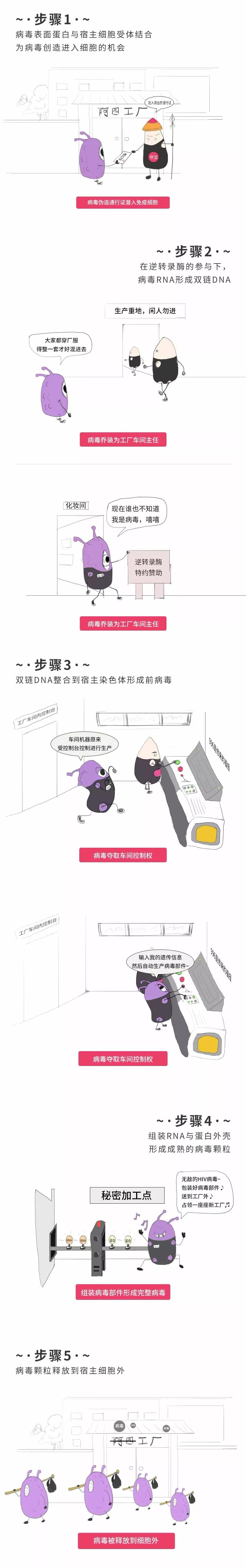 如果将病毒潜入免疫细胞并完成自我复制的过程拟人化