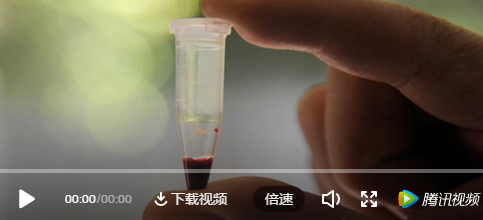 转载自腾讯视频——如有侵权请联系删除
