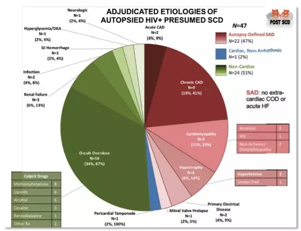 结果显示在HIV阳性患者的心肌中看到的心肌纤维化程度明显高于HIV阴性病例。