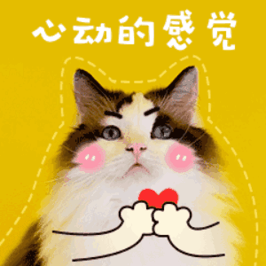 心动的感觉