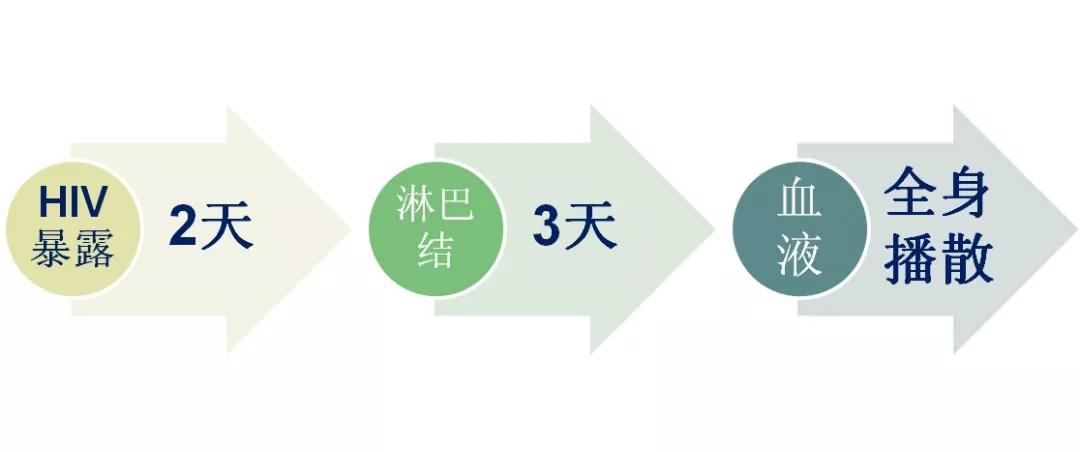 通常高危行为发生后的72h内，服用紧急阻断药物有很大的概率，阻止HIV扩散到周围的淋巴结组织和全身，从而阻断HIV的感染。