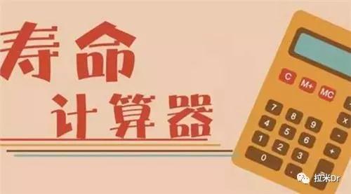 寿命计算器