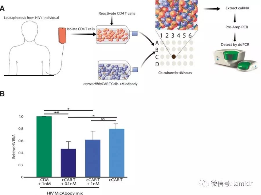 cCAR-T对长期接受HAART治疗的感染者血液中再活化细胞的杀伤作用