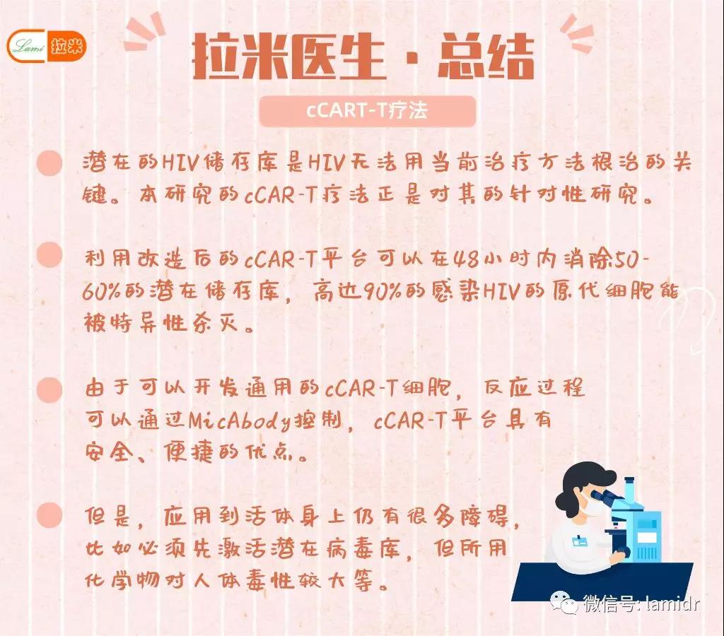 拉米医生总结