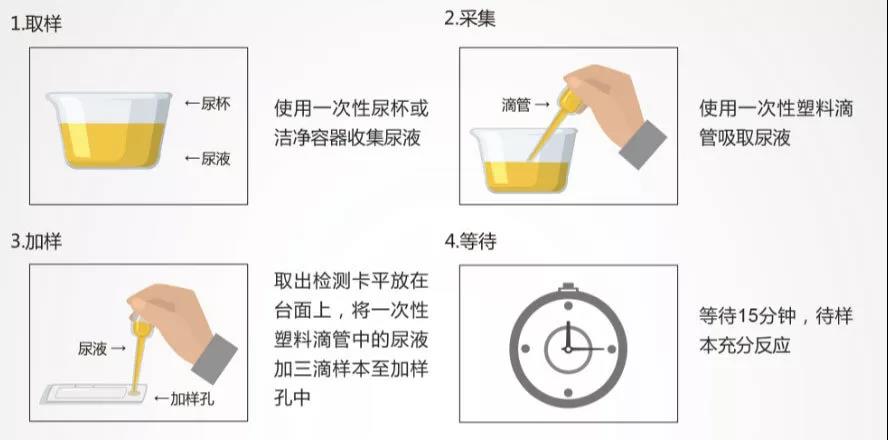 图 3 尿液自我检测操作过程