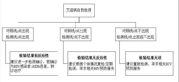 图 5 艾滋病自我检测流程