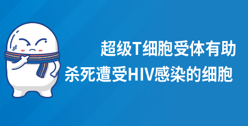 超级T细胞受体有助杀死遭受HIV感染的细胞