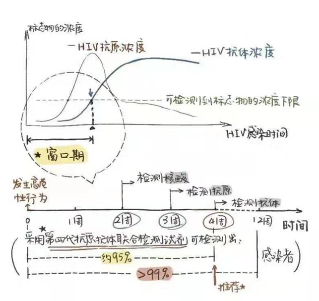自检试纸的窗口期