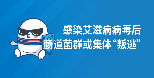 感染艾滋病病毒后，肠道菌群或集体“叛逃”