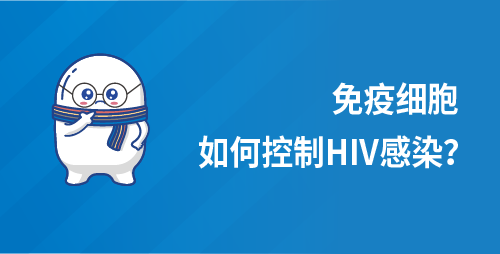 免疫细胞如何控制HIV感染？