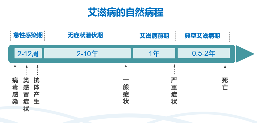 感染艾滋，不接受治疗的HIV自然病程